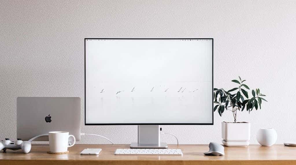 A tidy desk with an Apple display, a MacBook, and a small plant against a white wall.