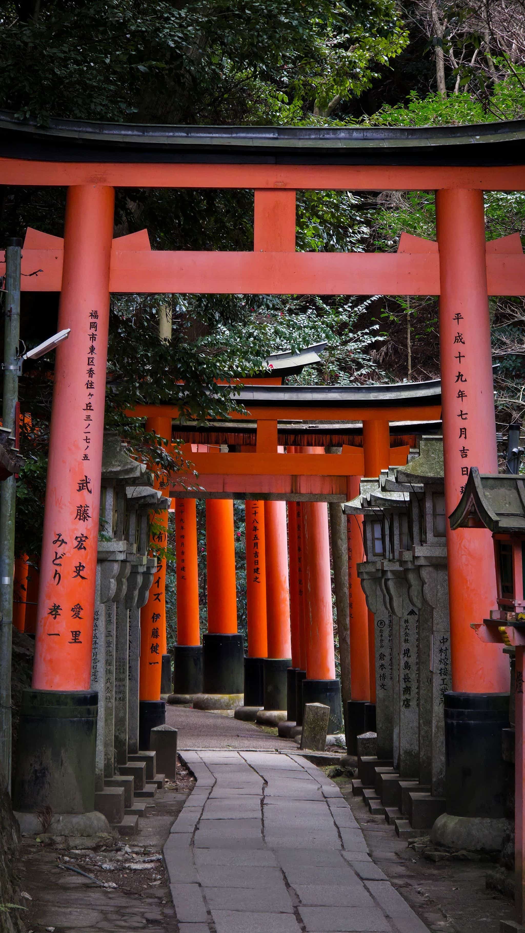 The vermilion torii gate path at Fushimi Inari Taisha in Kyoto, nearly empty.