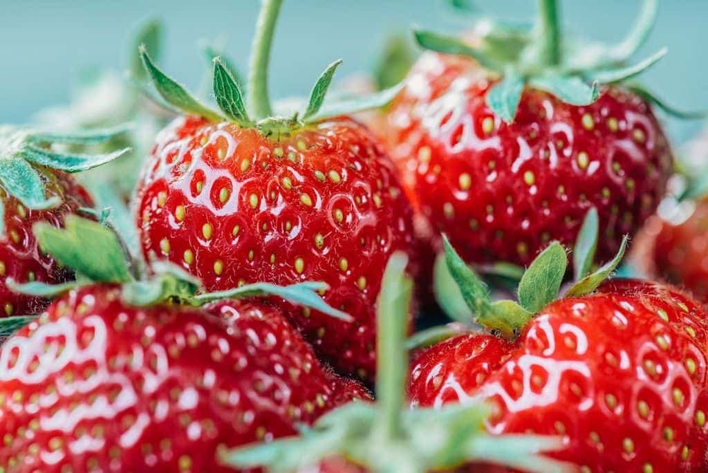 A close-up cluster of ripe red strawberries.