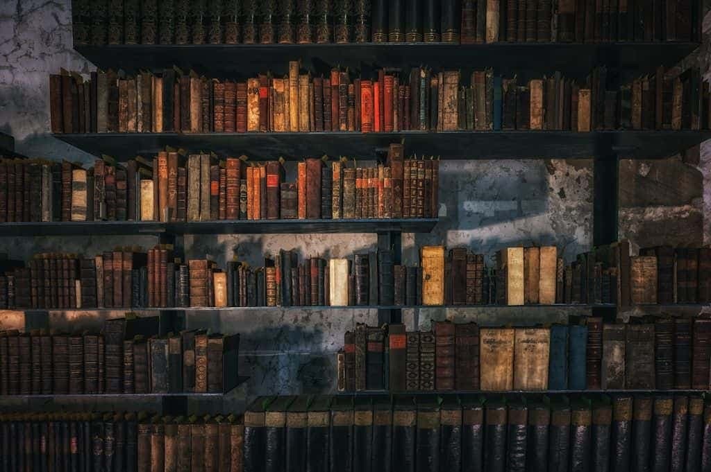 Long rows of full bookshelves receding into the distance.